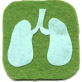 イメージ：肺がんについて