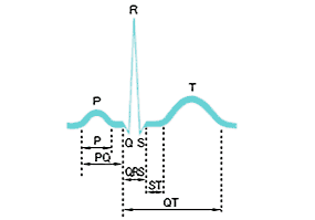 図：心電図の波形